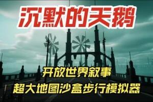 沉默的天鹅/The Silent Swan