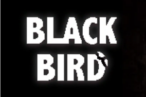 黑鸟/BLACK BIRD