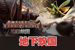 地下蚁国/Empires of the Undergrowth
