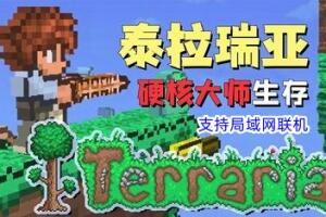 泰拉瑞亚/Terraria （支持局域网联机）