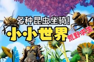 密码保护：小小世界：荒野求生/Smalland: Survive the Wilds