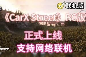 CarX街头/CarX Street 支持网络联机