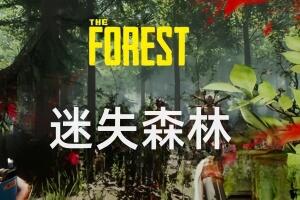 迷失森林/The Forest