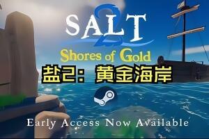海盐2：黄金海岸/Salt 2: Shores of Gold
