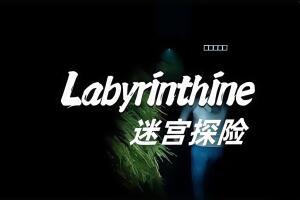 迷宫探险/Labyrinthine