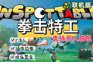 拳击特工/Unspottable/支持网络联机