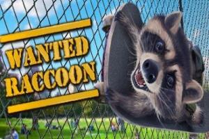 浣熊通缉犯|官方中文|支持手柄|Wanted Raccoon