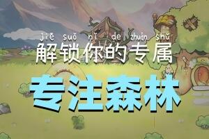 专注森林/Focus Grove
