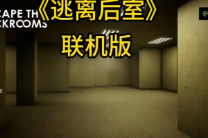 逃离密室/逃离后室/Escape the Backrooms/支持网络联机